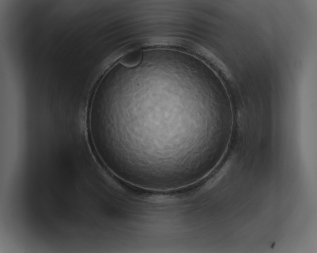 X0000100921033200806241340