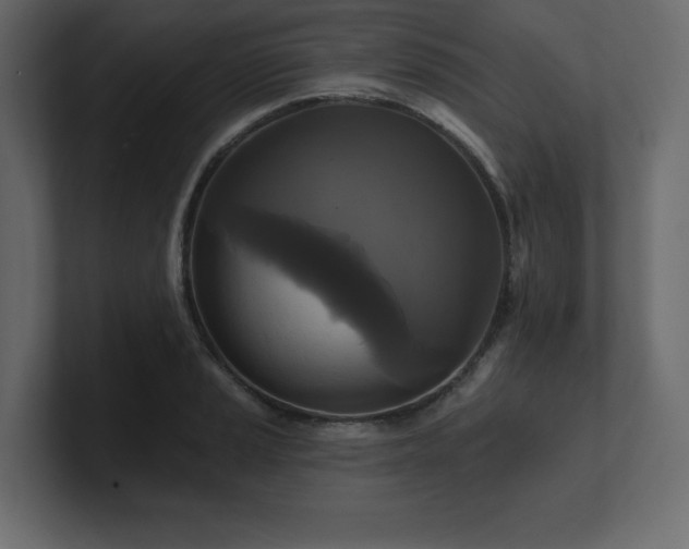 X0000100921037200806241340