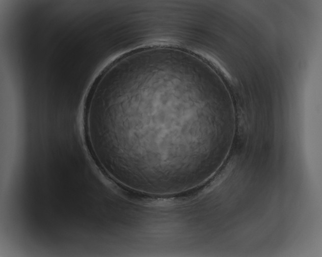 X0000100921038200806241340