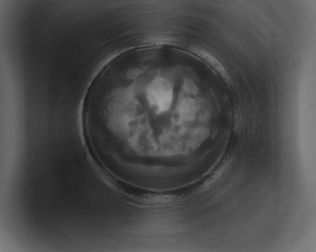 X0000100921039200806241340