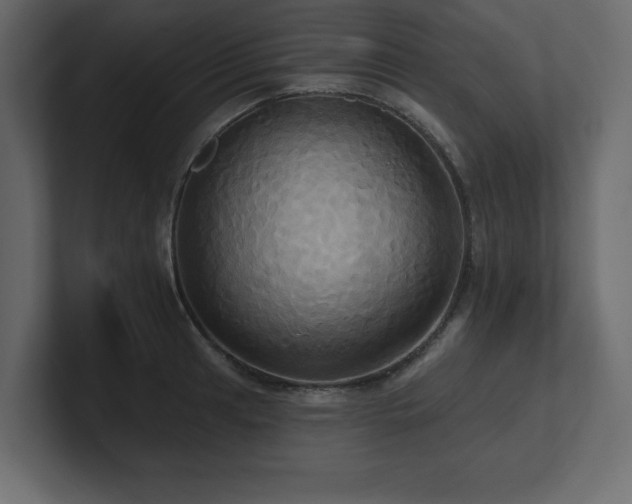 X0000100921041200806241340