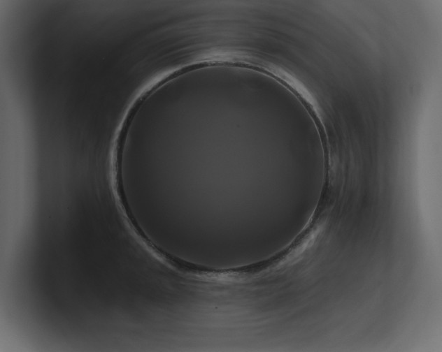 X0000100921045200806241340