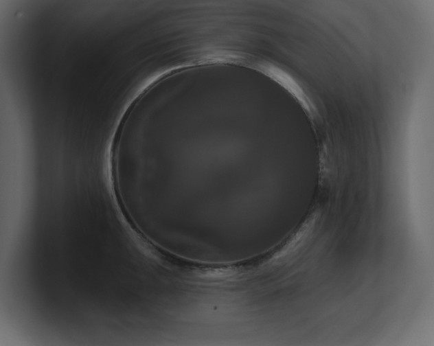 X0000100921047200806241340