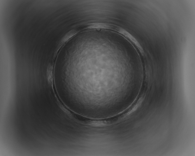 X0000100921049200806241340