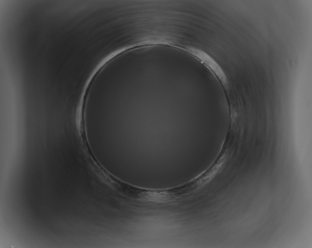 X0000100921052200806241340