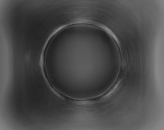 X0000100921053200806241340