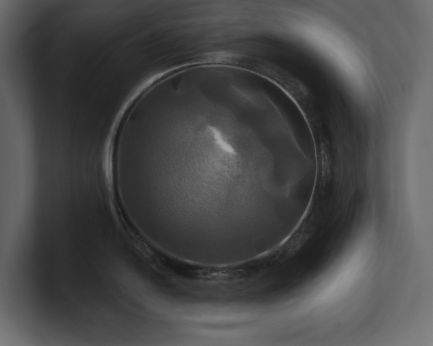 X0000100921054200806241340