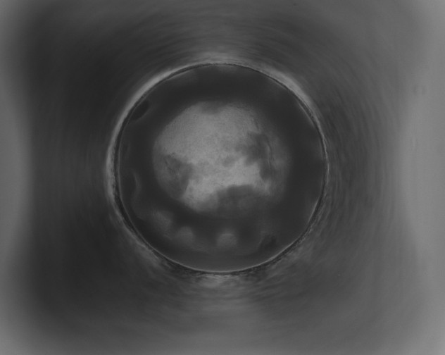 X0000100921056200806241340