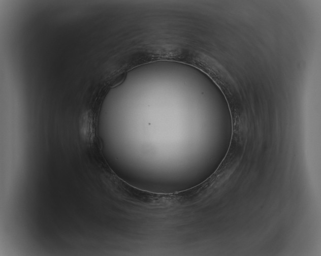 X0000100921058200806241340