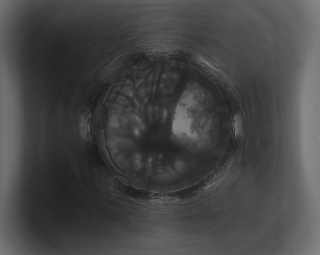 X0000100921059200806241340