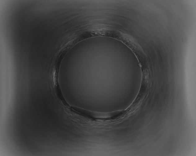 X0000100921060200806241339