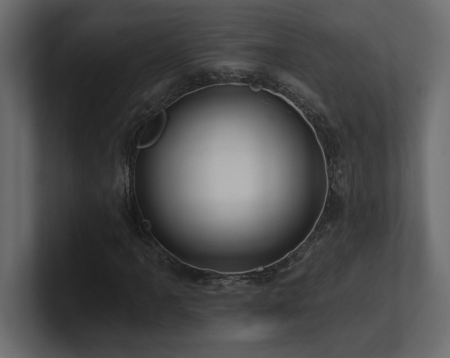 X0000100921061200806241339