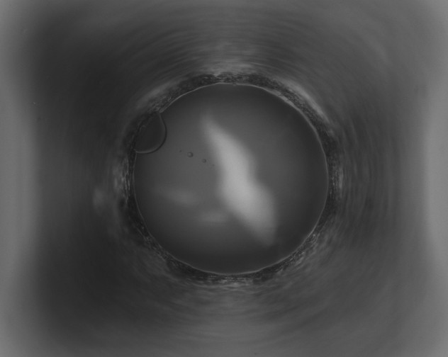 X0000100921063200806241339