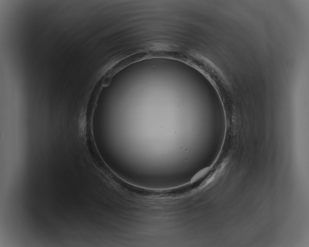 X0000100921065200806241339