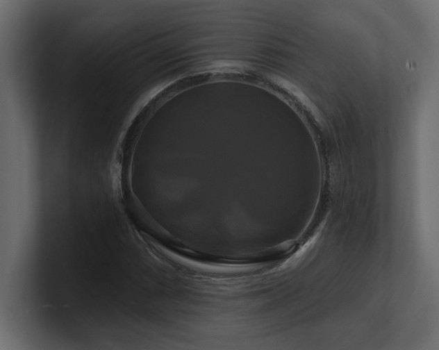 X0000100921066200806241339