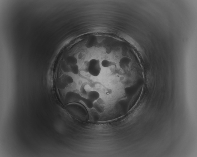 X0000100921067200806241339