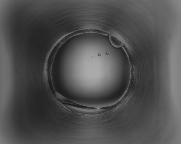X0000100921068200806241339