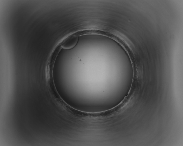 X0000100921069200806241339