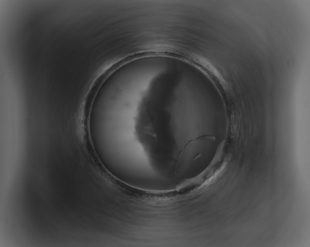 X0000100921071200806241339