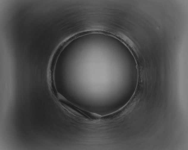 X0000100921072200806241339