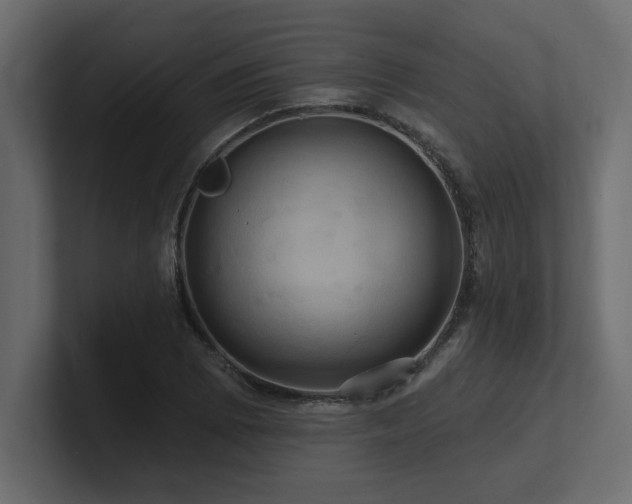 X0000100921073200806241339