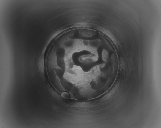 X0000100921075200806241339