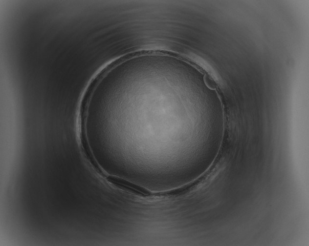 X0000100921076200806241339