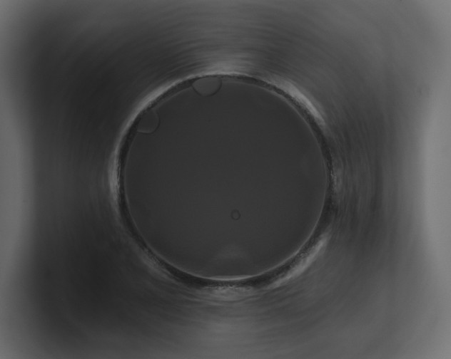 X0000100921077200806241339