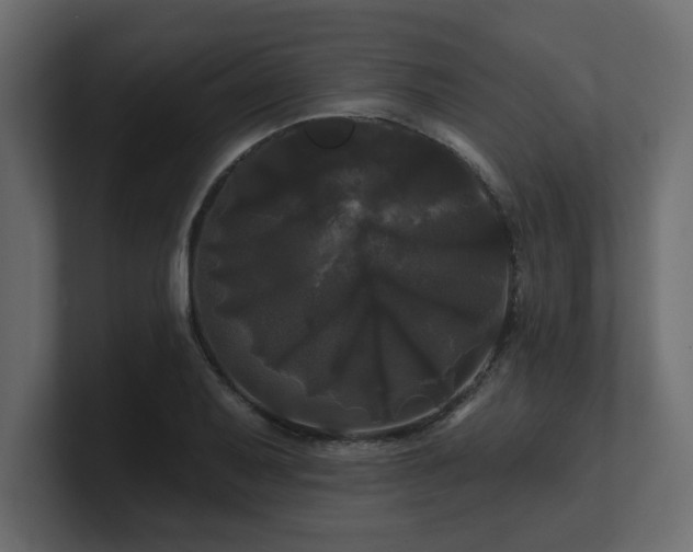X0000100921079200806241339