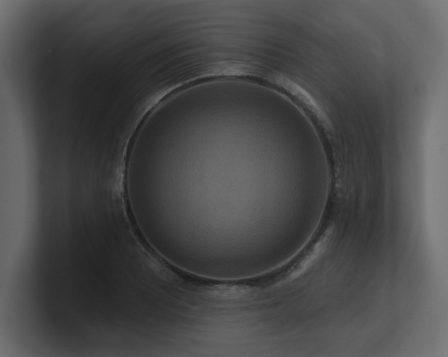 X0000100921081200806241339