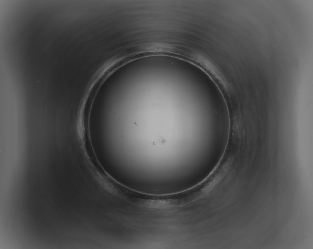 X0000100921082200806241339