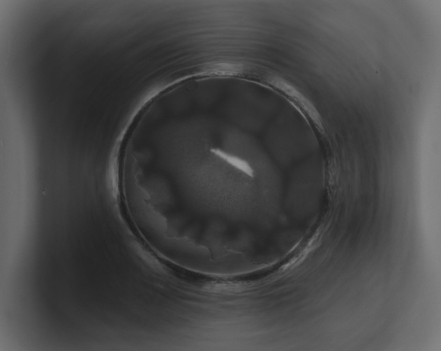 X0000100921083200806241339