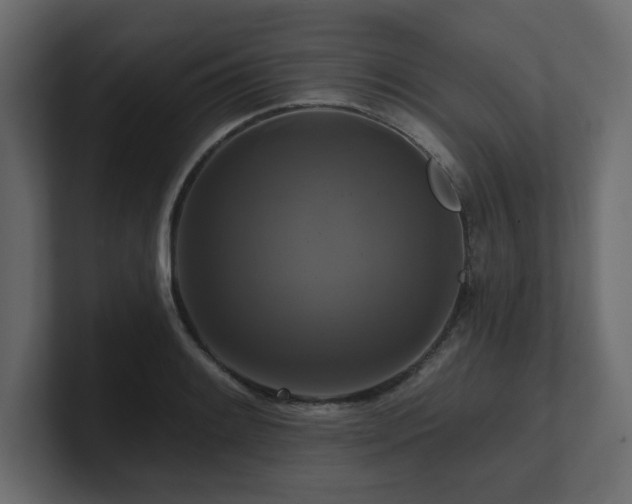 X0000100921084200806241339