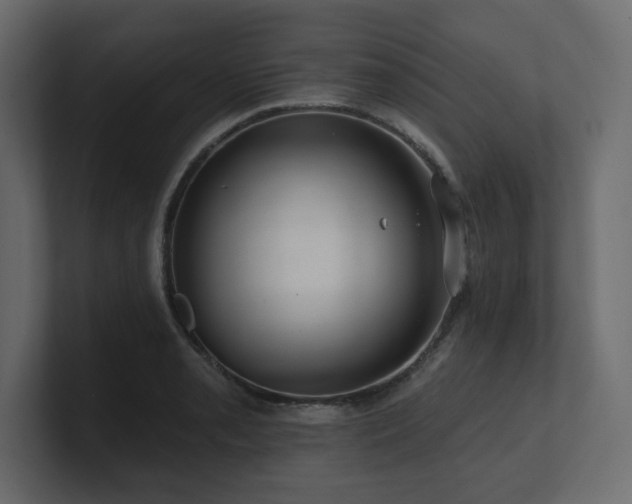 X0000100921085200806241339