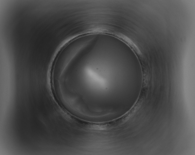X0000100921086200806241339