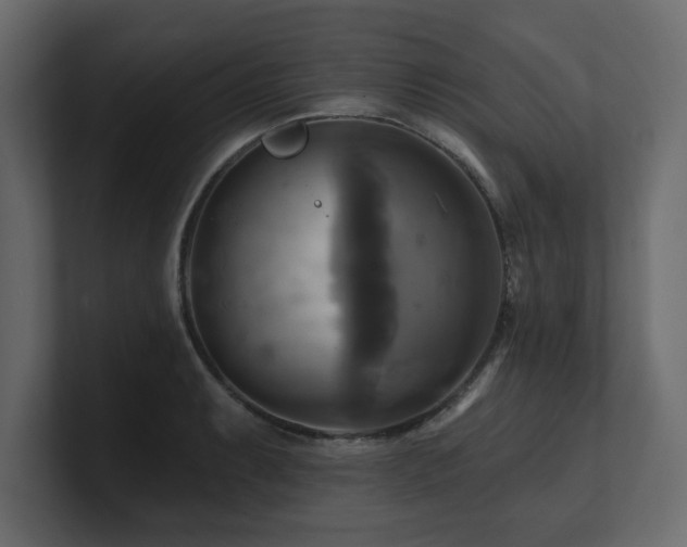 X0000100921087200806241339