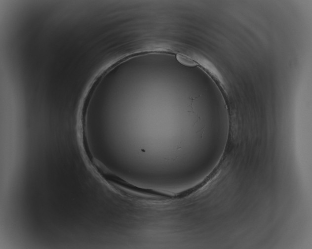 X0000100921088200806241339