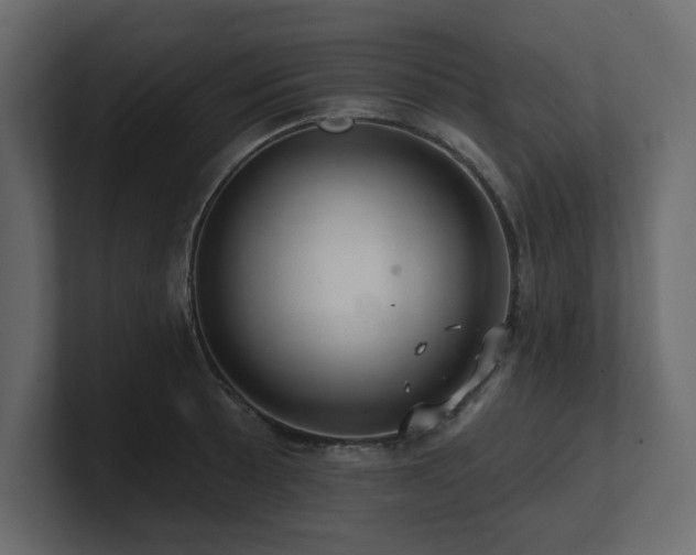 X0000100921089200806241339