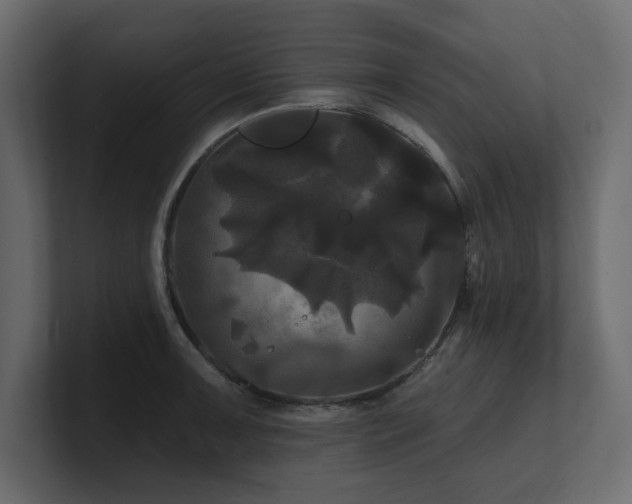 X0000100921091200806241339