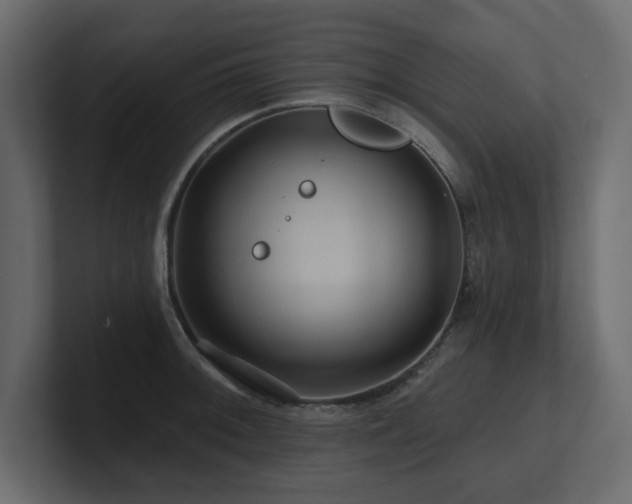 X0000100921092200806241339