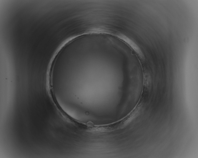 X0000100921094200806241339