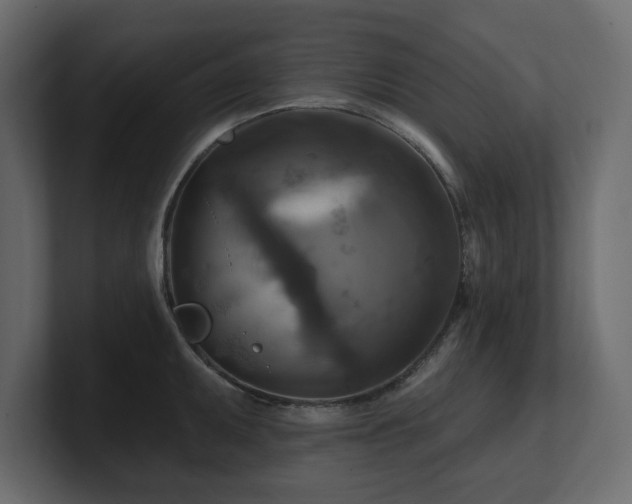 X0000100921095200806241339