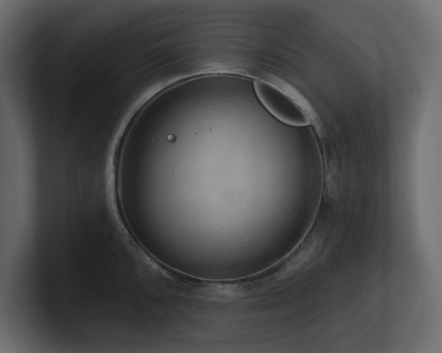 X0000100921096200806241339