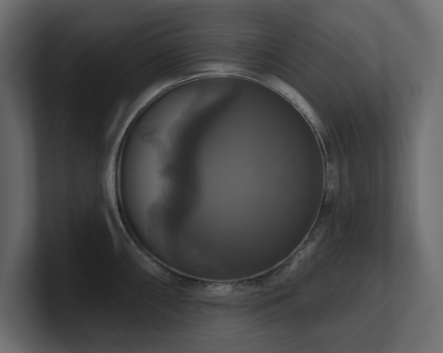 X0000100921098200806241339