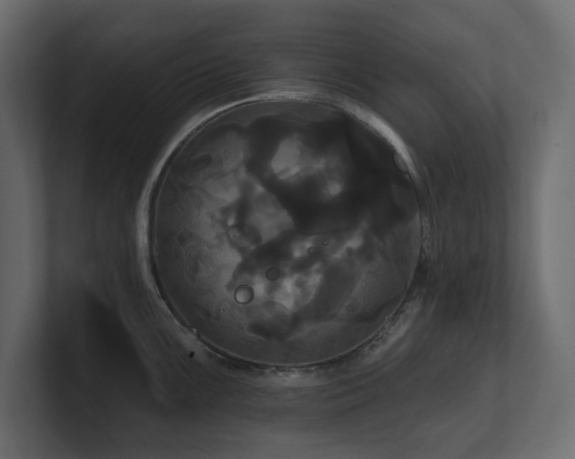 X0000100921099200806241339