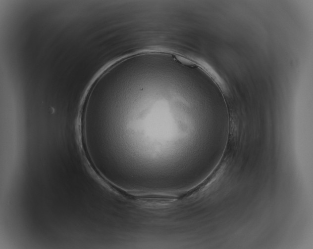 X0000100921100200806241339