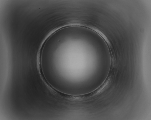 X0000100921101200806241339