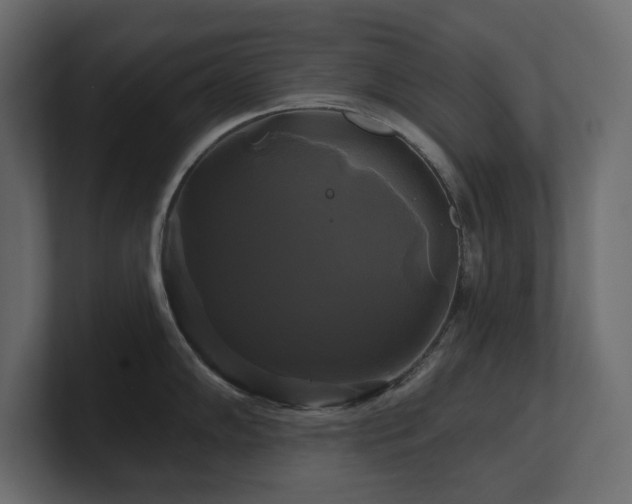 X0000100921102200806241339