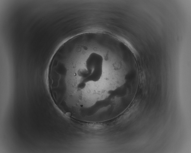 X0000100921103200806241339
