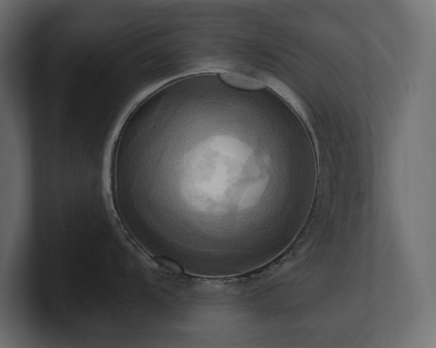 X0000100921104200806241339